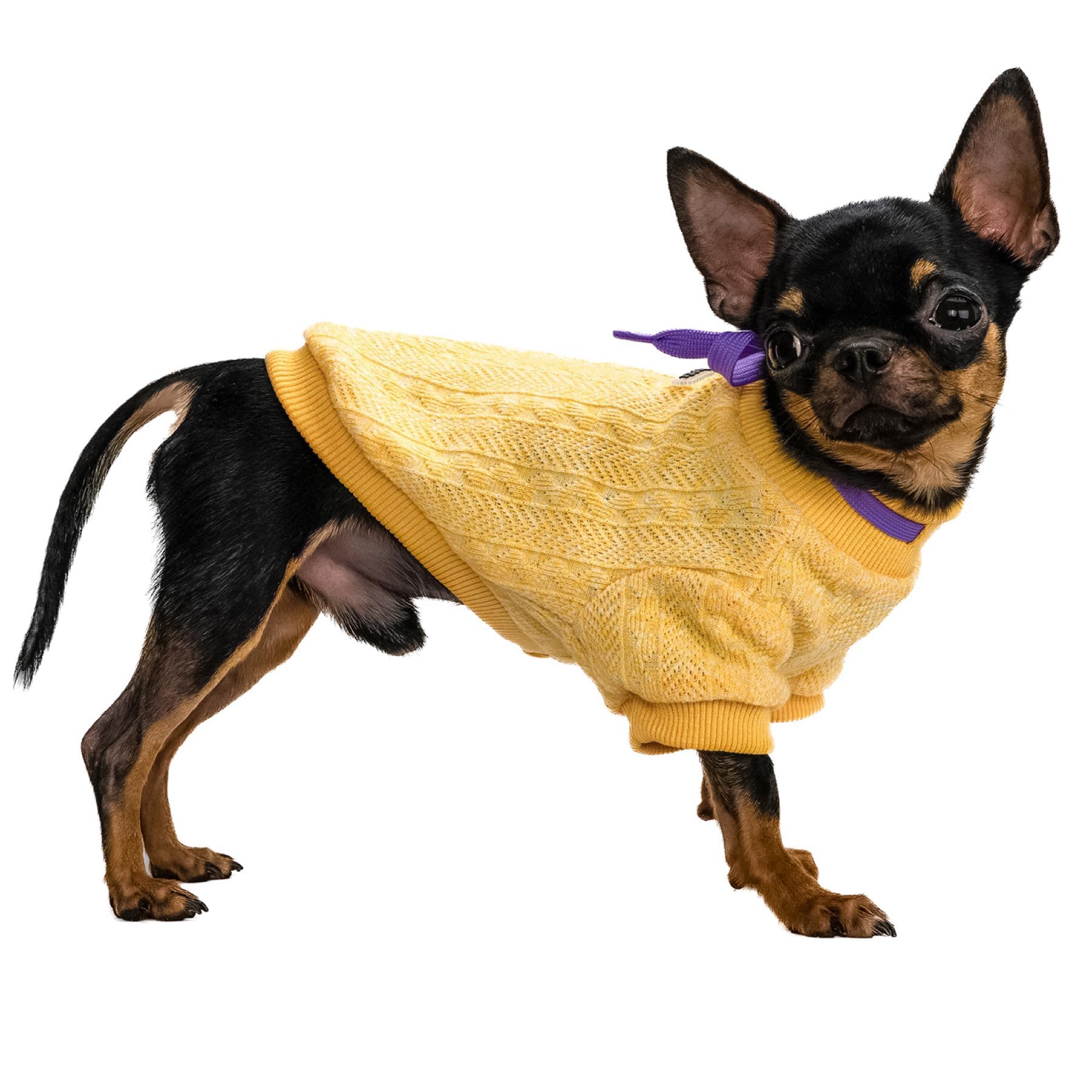 Chandails tricotés pour petit chien de 17 à 10 kg, jaune, taille | Pull en jersey à col roulé avec cordon de serrage et col roulé de qualité supérieure