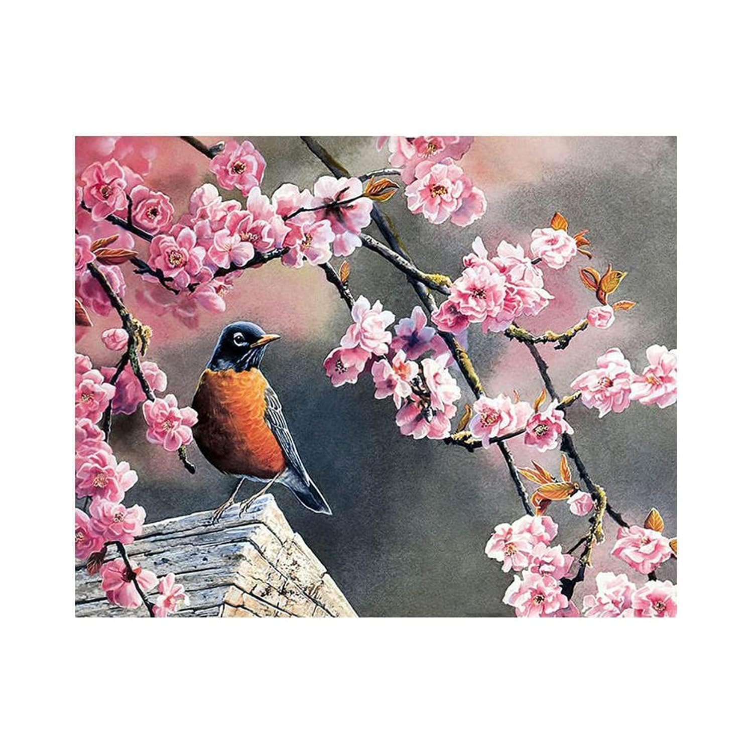 Model Topline Paint by Number Kit for Adult & Kids 40x50 cm16x20 inches, Drawing Colorful Canvas with Brushes Decor Decorations Gifts Frameless Acrylic Painting (Bird With Pink Flowers Frameless)