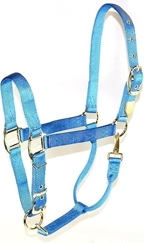 Hamilton, Halter de 1 pulgada con barbilla ajustable, azul baya, 800-1100 libras Azul baya,Vino,Azul,Rosa encendido,Anaranjado mango,Azul