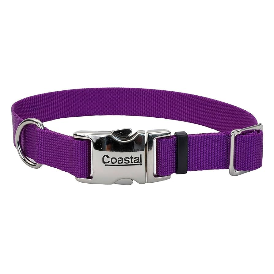 Amazon.com : Coastal Pet Adjustable Dog Collar with Metal
