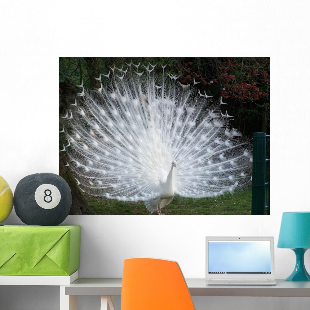 FOT-2895674-36 WM35133 Paon Blanc Profil Peel and Stick Wall Decals (36 in W x 27 in H), Large