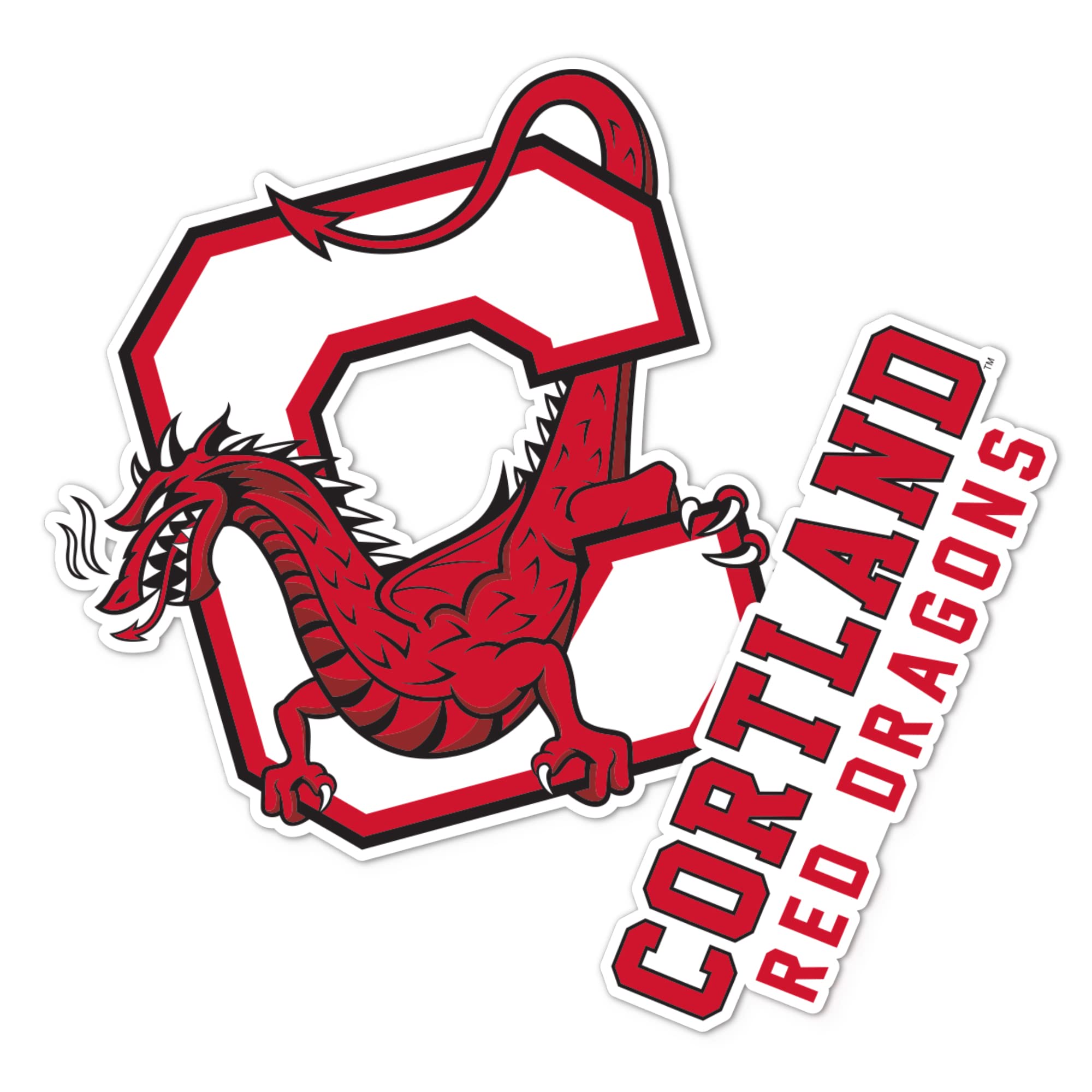 Desert Cactus SUNY Cortland Red Dragons State University of New York Sticker Vinyl Decal Laptop Water Bottle Car Scrapbook (4 Inch Set V1)