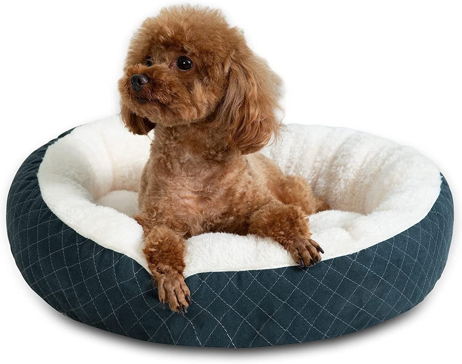 Tail Stories Round Donut Cat and Dog Cushion Bed, Cat Beds for Indoor Cats or Small Dogs, Machine Washable Luxury Dog Bed, Anti-Slip & Water-Resistant Bottom, Super Soft Durable Fabric Pet Bed, Green