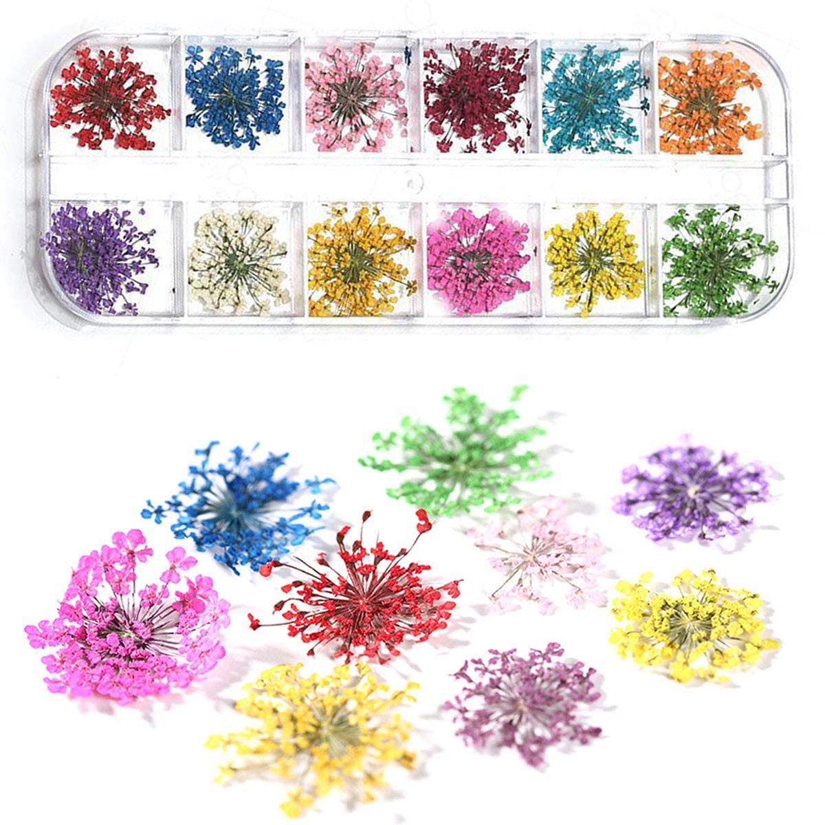 12 Patterns 3D Dry Flowers Stickers Real Dried Flower Nail Art Decoration Tips DIY Manicure Tools, Plastic
