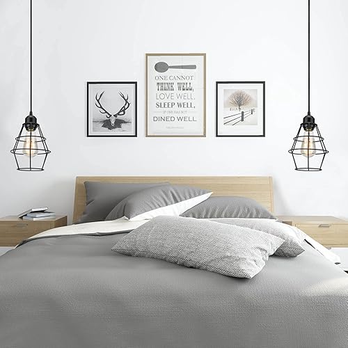 Miniatura 6 de Lámpara colgante industrial enchufable, lámpara de jaula negra con interruptor de encendidoapagado, luces colgantes vintage con cable de enchufe,