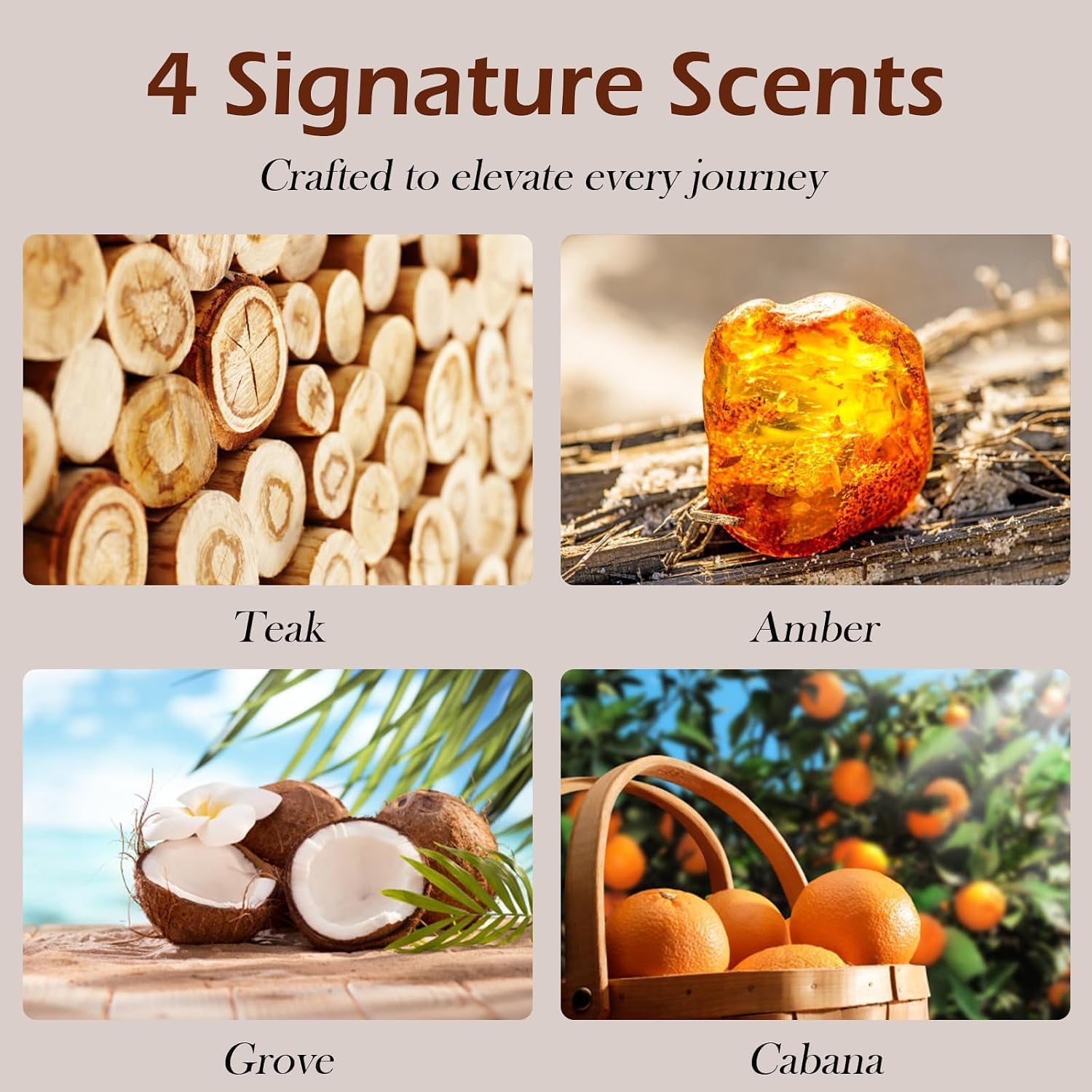 Car Air Freshener, Wood Air Freshener for Visor Clip, Long Lasting Car Odor Eliminator, Vehicle Scent Diffuser for Cars, Trucks & SUVs, 4 Pack Variety Scents with 2 Clips (Teak Amber Cabana Grove)