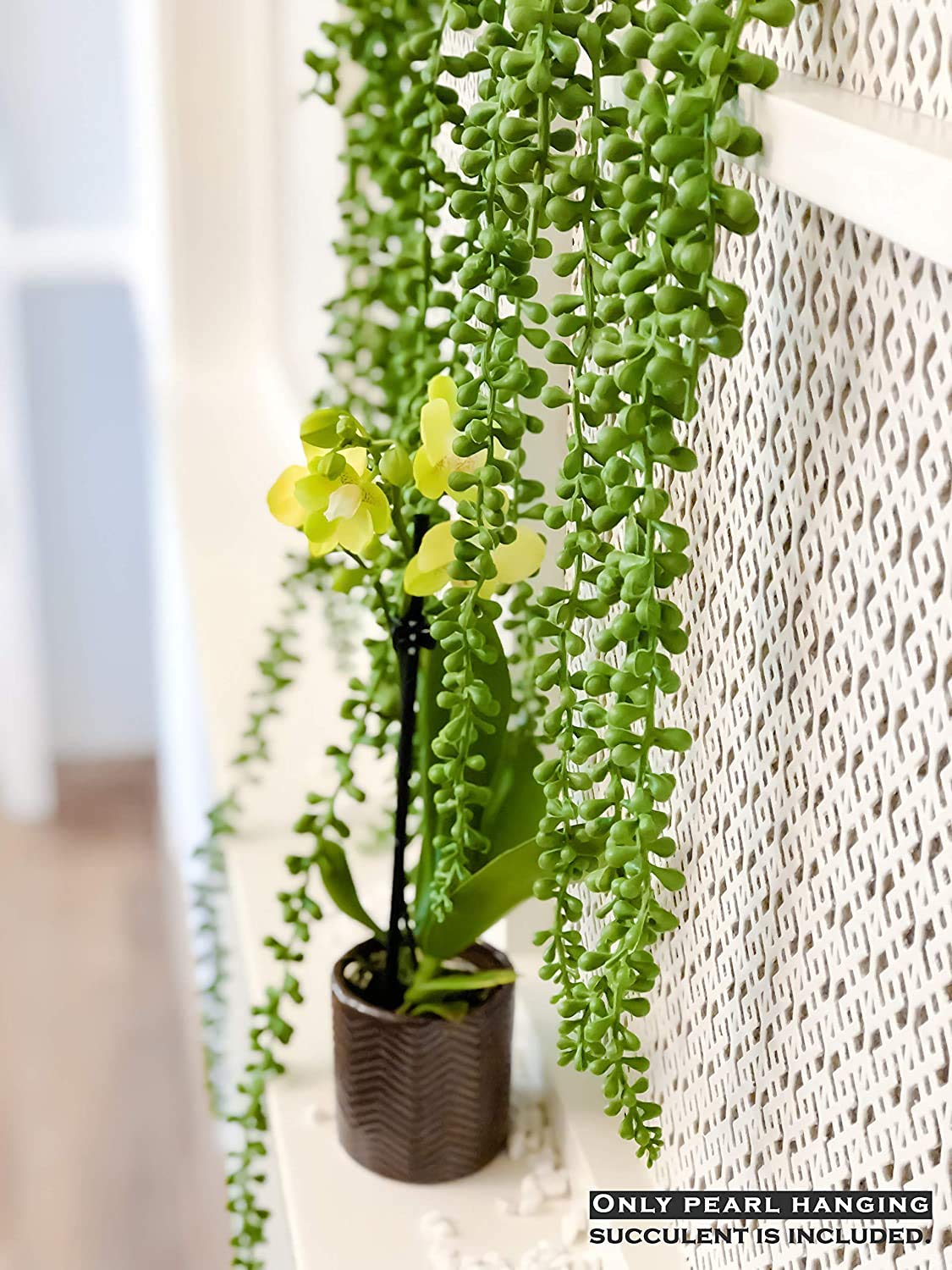 Amazon.com: Valley Supply Global Artificial Succulent Hanging Plants -  Hanging String of Pearls Faux Succulents for Home Decor, Set of 5 : Home &  Kitchen