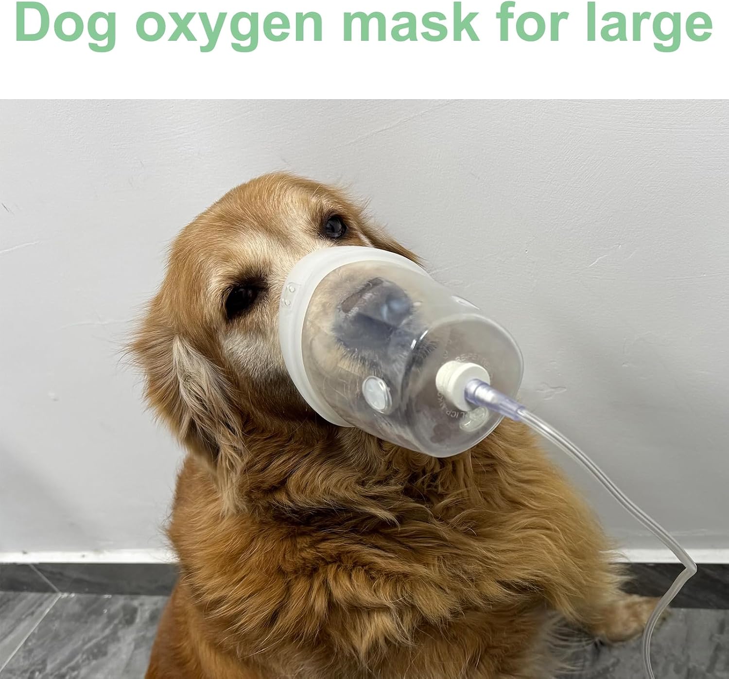 Dog Inhaler Mask, Oxygen Mask for Large Dogs, Pet Oxygen Mask and Tube, Suitable for Large Dogs (Equipment Not Included) L