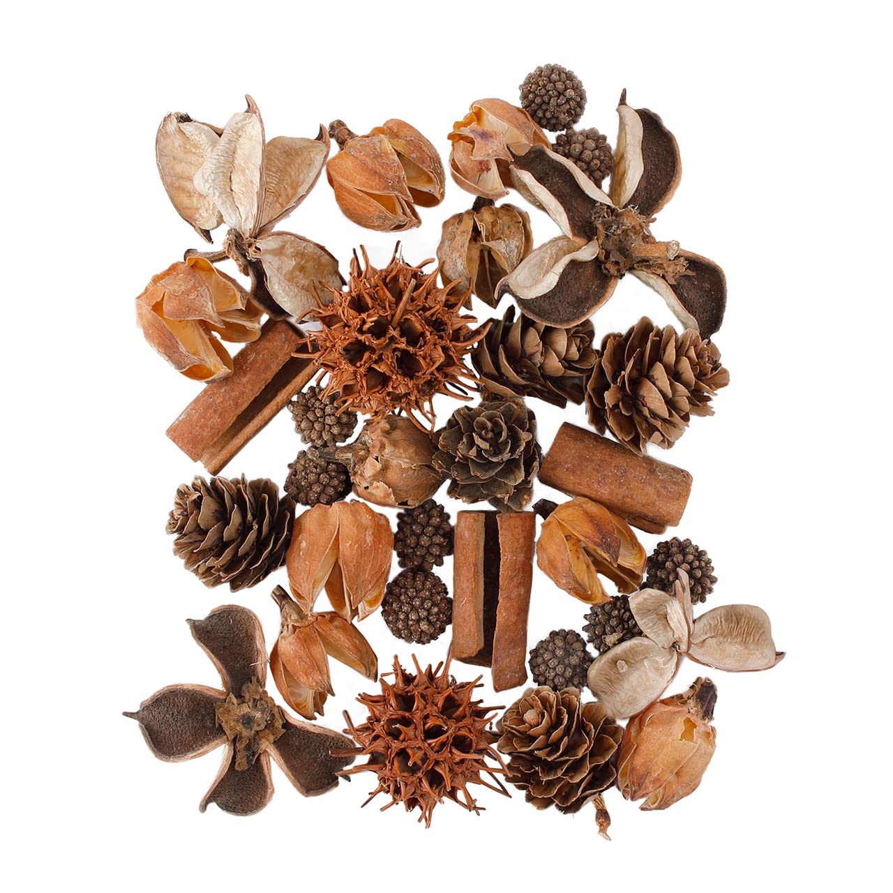 木の実詰め合わせ　No.530 Amazon｜TOKA ドライフラワー FM 木の実アソート 約45~59g 1袋入