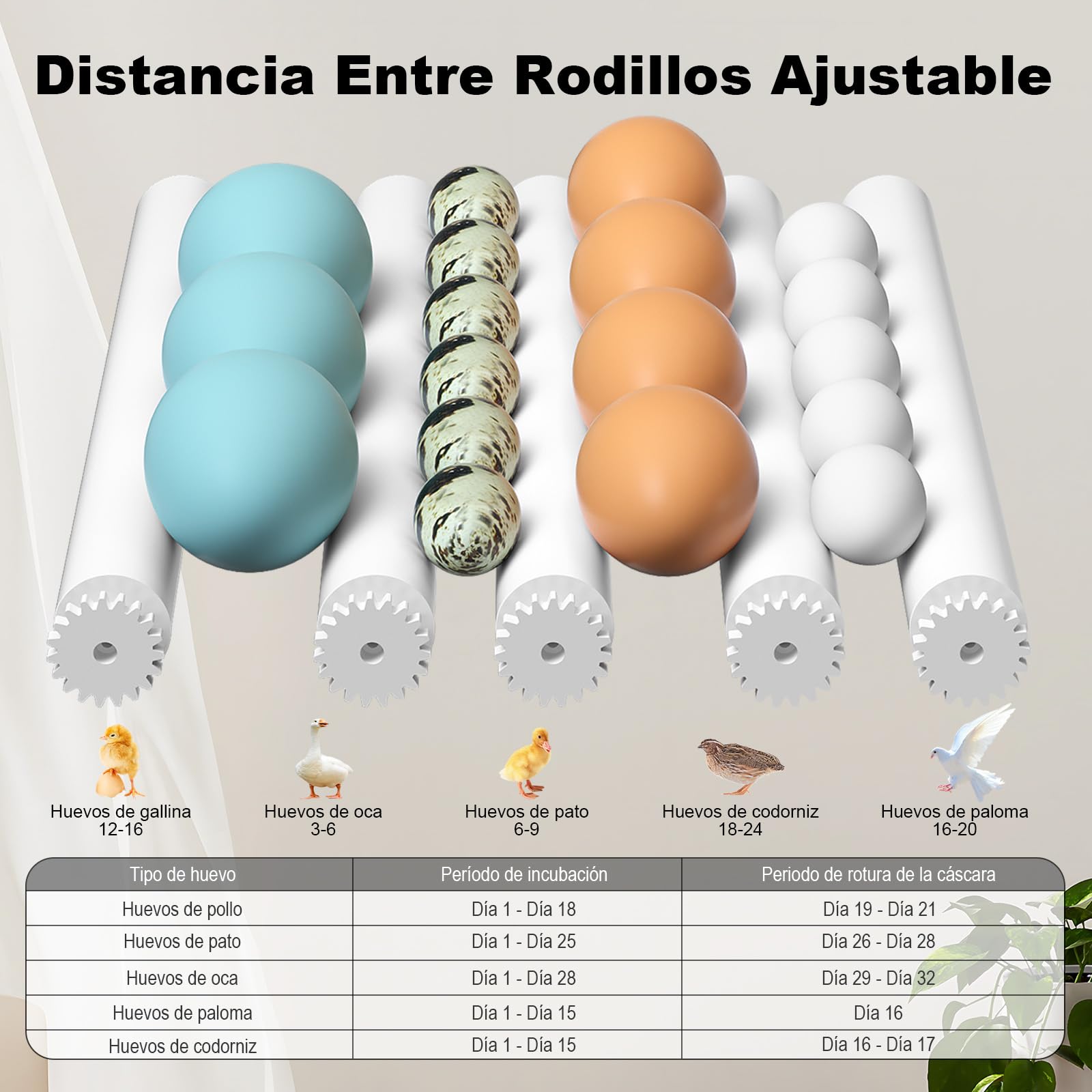 CoInceptus Incubadora Huevos Gallina, Incubadora de 12-16 Huevos con Volteo Automático de Huevos y Humidificación automática, Incubadora para Huevos de Gallina, Codorniz, Pato, con Lámpara de Huevo