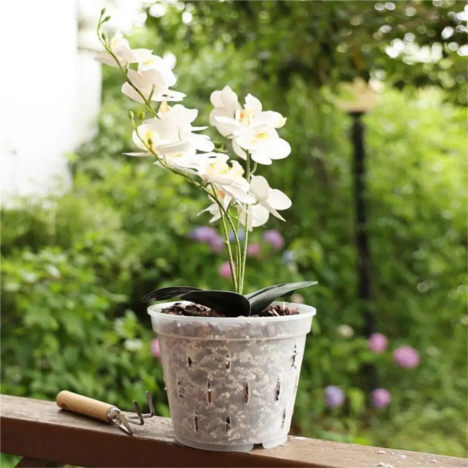 Lot de 10 Pots à orchidées Transparents avec Trous, en Plastique ventilé, for rempoter et cultiver des extérieur pour Intérieur, Jardin(15cm)