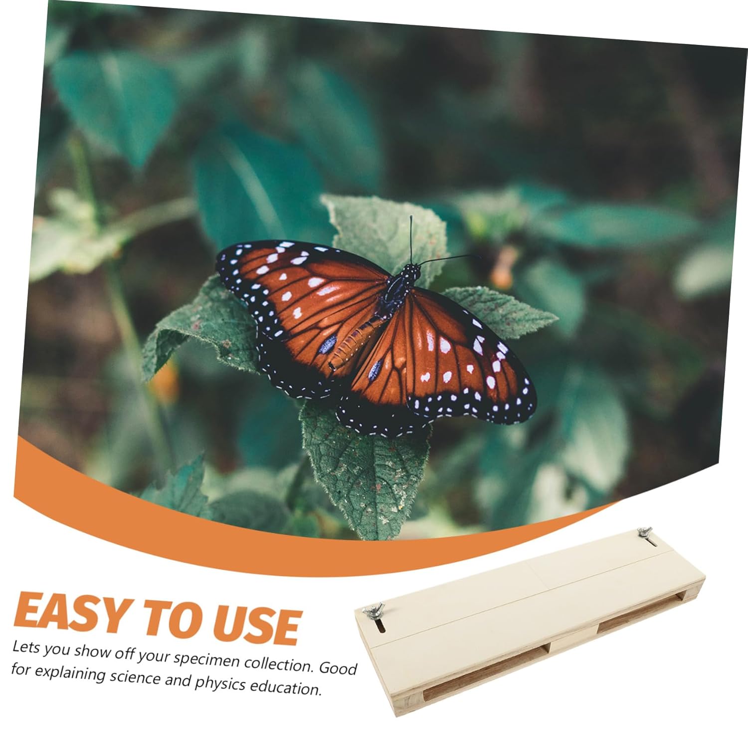 Cabilock Butterfly Frame Mounting Tool Wings Spreading Board Educational Display for Lightweight and Portable