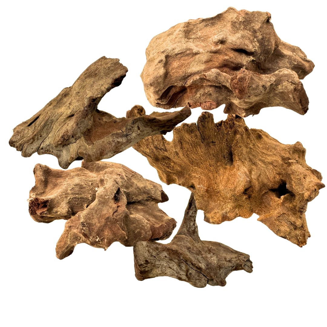 8 oz Mini Driftwood - Natural Coral Driftwood for Aquarium (2-5 Inches) | Assorted Shapes | Fish Tank & Reptile Terrarium Decor | Driftwood Branches for Aquarium Decoration