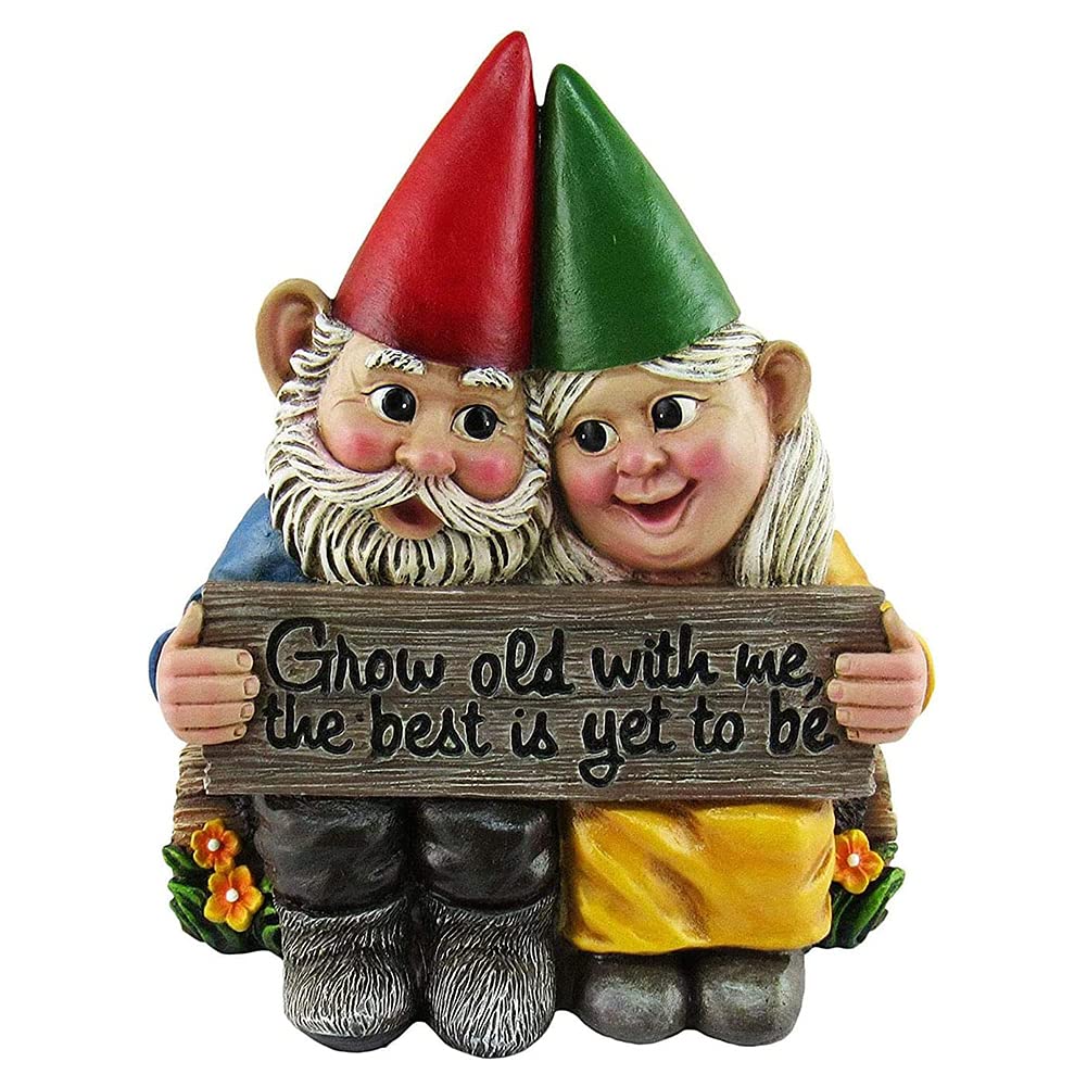 Athemeet Garden Gnome Statue Couple Fairy Dwarf Resin Hand-Painted Gnome Ornament Romantic Statue Indoor/Outdoor Garden Patio Home Decoration