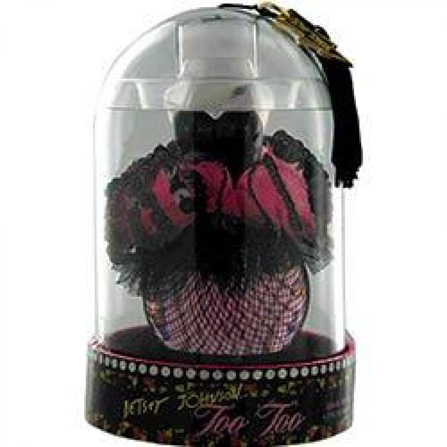 Amazon.com: Too Too 女性淡香水噴霧,1.7 液體盎司: 美容與個人護理
