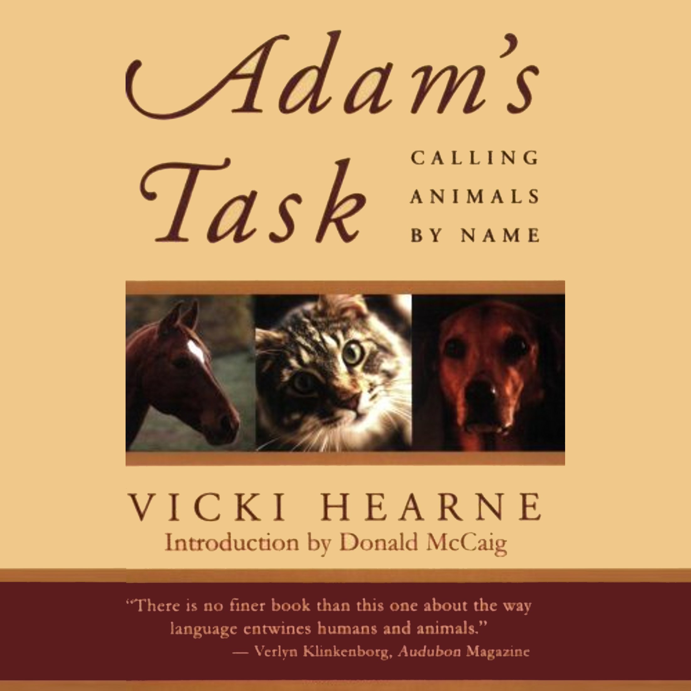 Cover art for Adam's Task