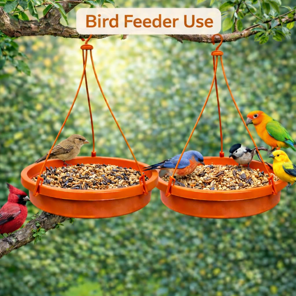 2 Bird Feeders & Bath - Balcony Garden -3