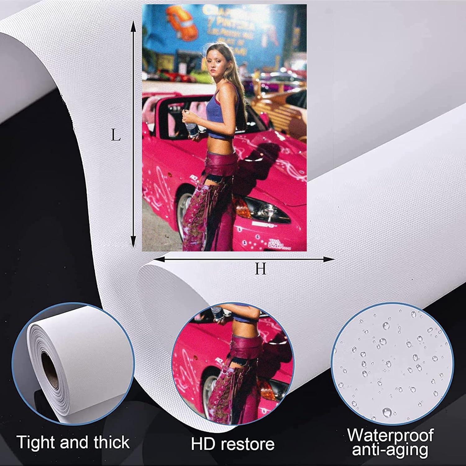 Suki ‘2 Fast 2 Furious’ Poster Movie Poster for Room Aesthetic Vintage Poster Canvas Art Wall Poster Picture Modern Office Family Bedroom Decorative Posters 123 Wall Art 18x12inch(45x30cm) Unframed image 2