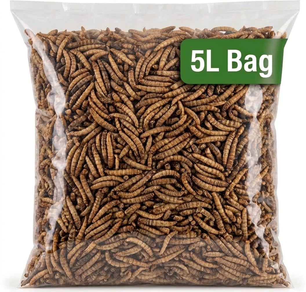 Dried Calciworms 5L Bag for Garden Birds, Calci worms for Wild Bird Food
