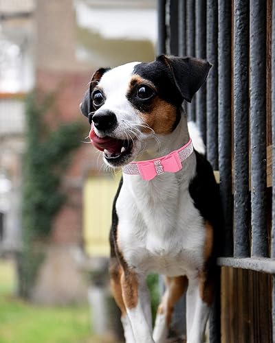 Miniatura 3 de Collar brillante para perros pequeños, medianos y grandes, collares de perro con corona de diamantes de imitación para perras y perros machos,