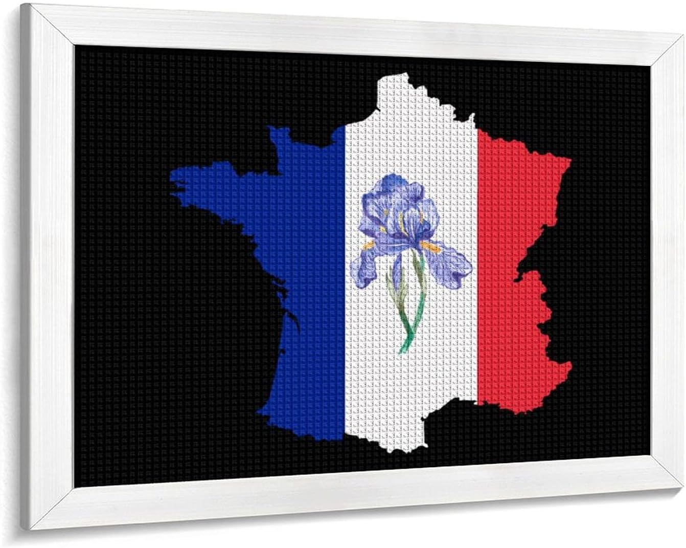 French Map Iris Odorifera French Flag Printed Diamond 5D Painting Kits DIY Full Drill Crafts for Home Wall Decor 16x20 Inch White Wood 50 * 40cm