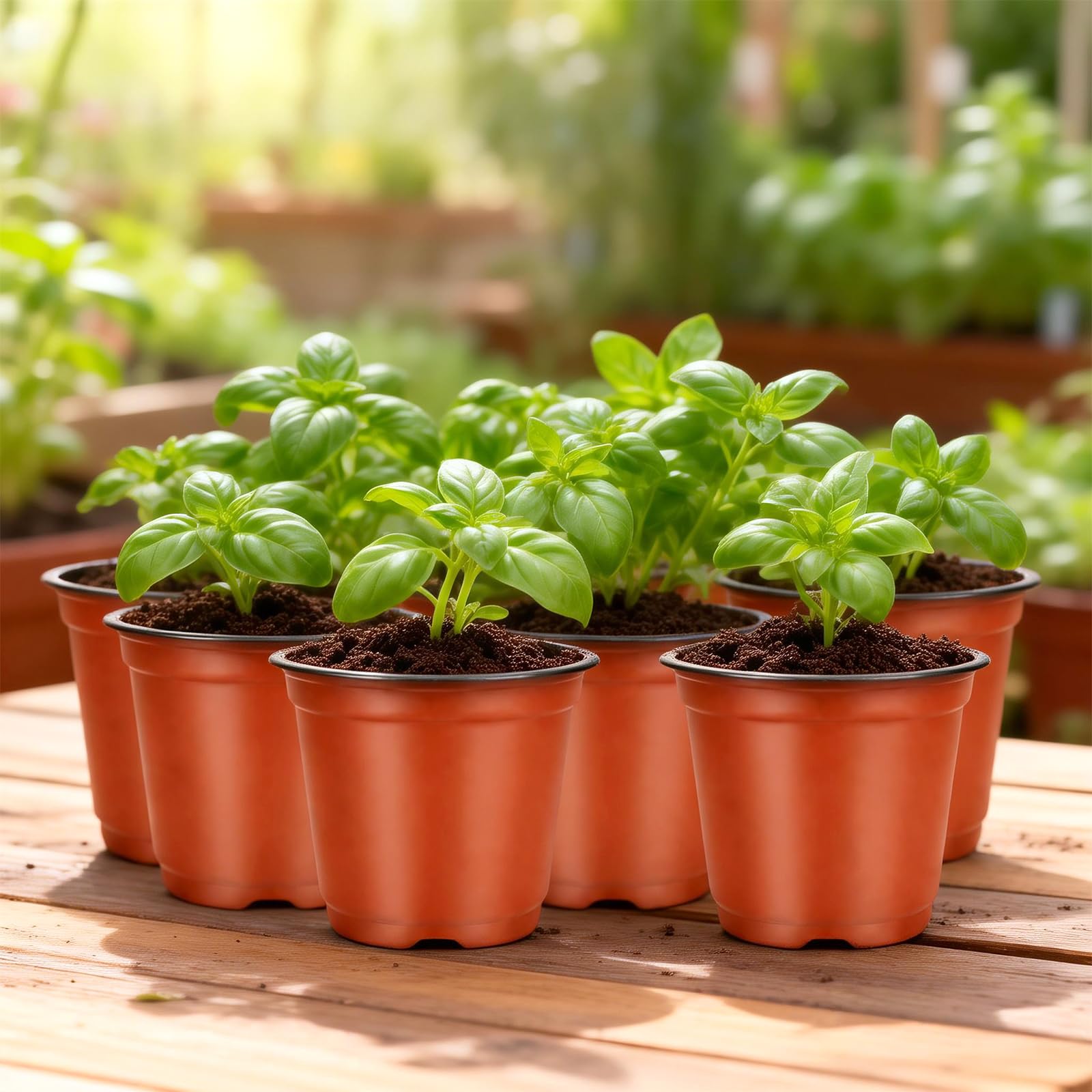 KINGLAKE 100Pcs Plastic Plant Pots 10cm Seed Seedling Pots Flower Nursery Pots for Vegetables,Flowers,Herbs,Cuttings, Succulent — view 6