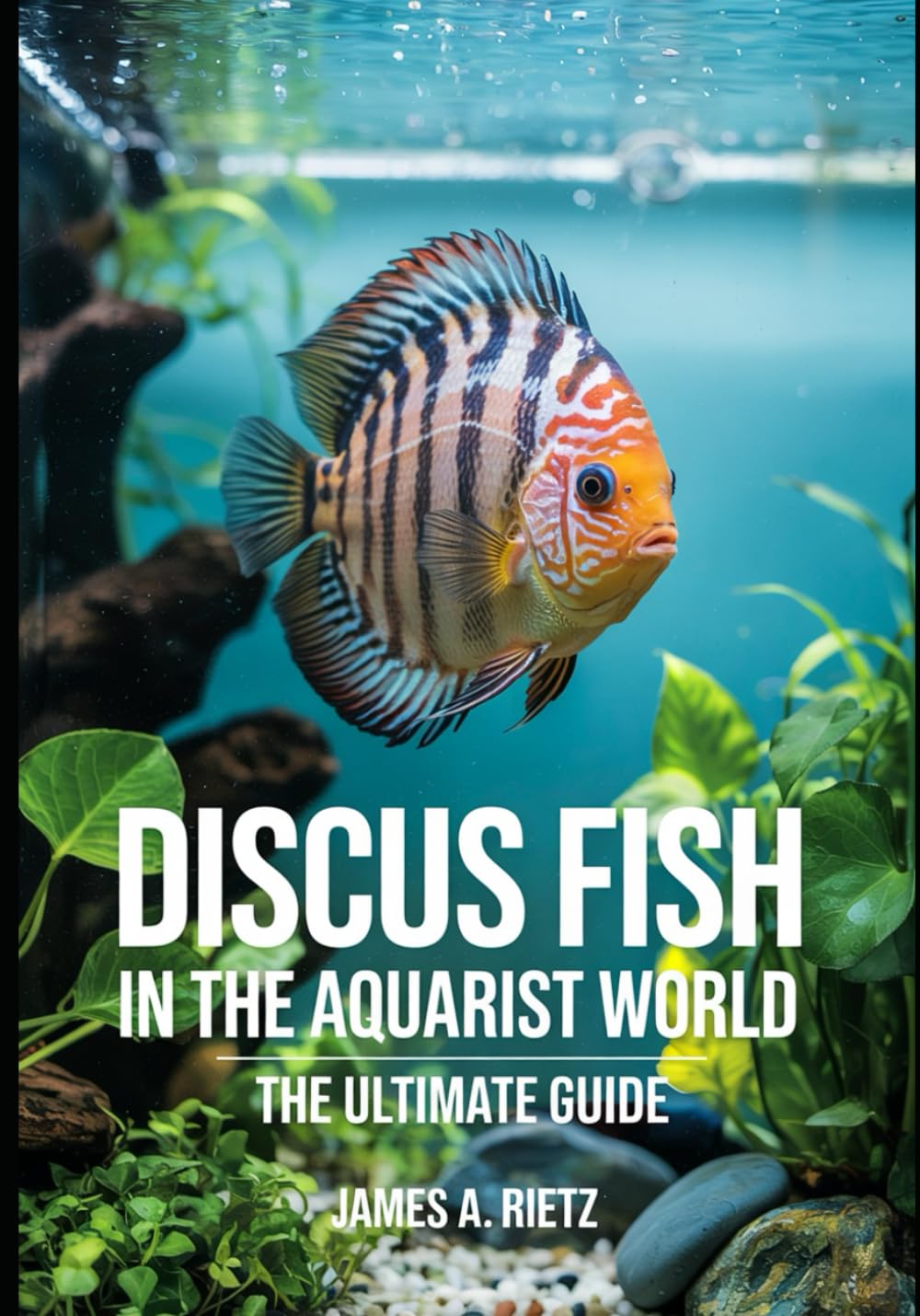 Discus Fish in the Aquaristic World: The Ultimate Guide