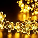 Indoor Decorative Flower String Lights , 33ft 100 LED Plug in Fairy Cherry Blossom Floral Lamp for Bedroom Window Wall Ceiling Tree Hanging, Christmas Thansgiving Easter Decorations (Warm White)