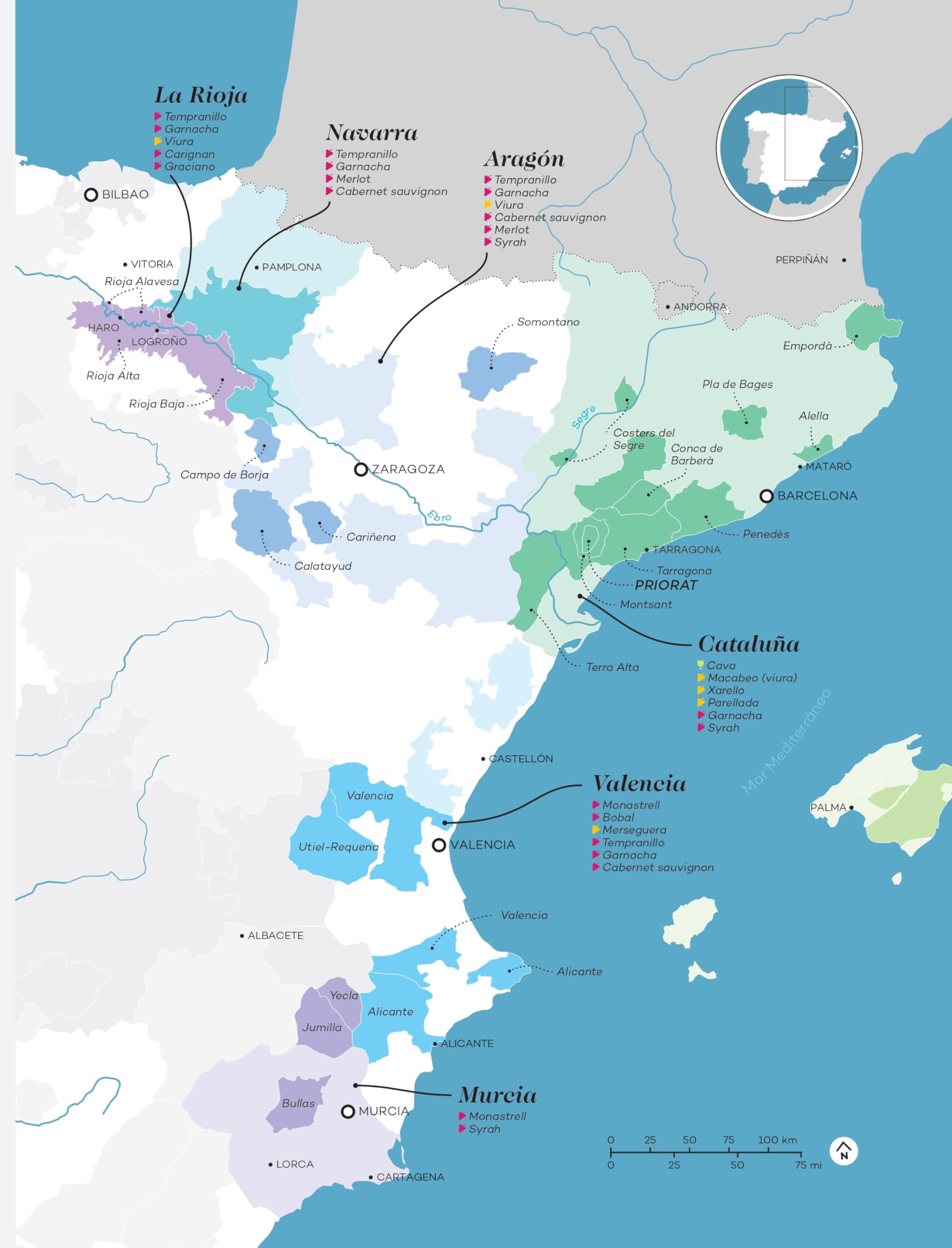 Wine Folly: Edición Magnum: La guía maestra del vino (ESP): 4 (Los ilustrados), Spanish