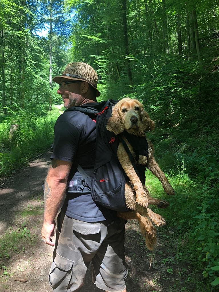 Dog Carrier - Zaino per cani da 9 a 18 kg