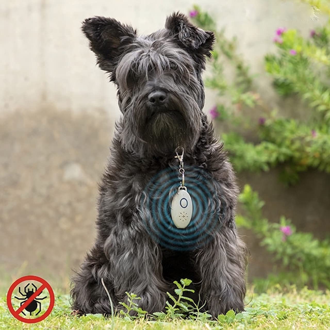 Repelente de mosquitos ultrasónico USB portátil Repelente de plagas móvil al aire libre Control de insectos todo redondo Rechazo de plagas Prevención de pulgas y garrapatas para perros, mascotas