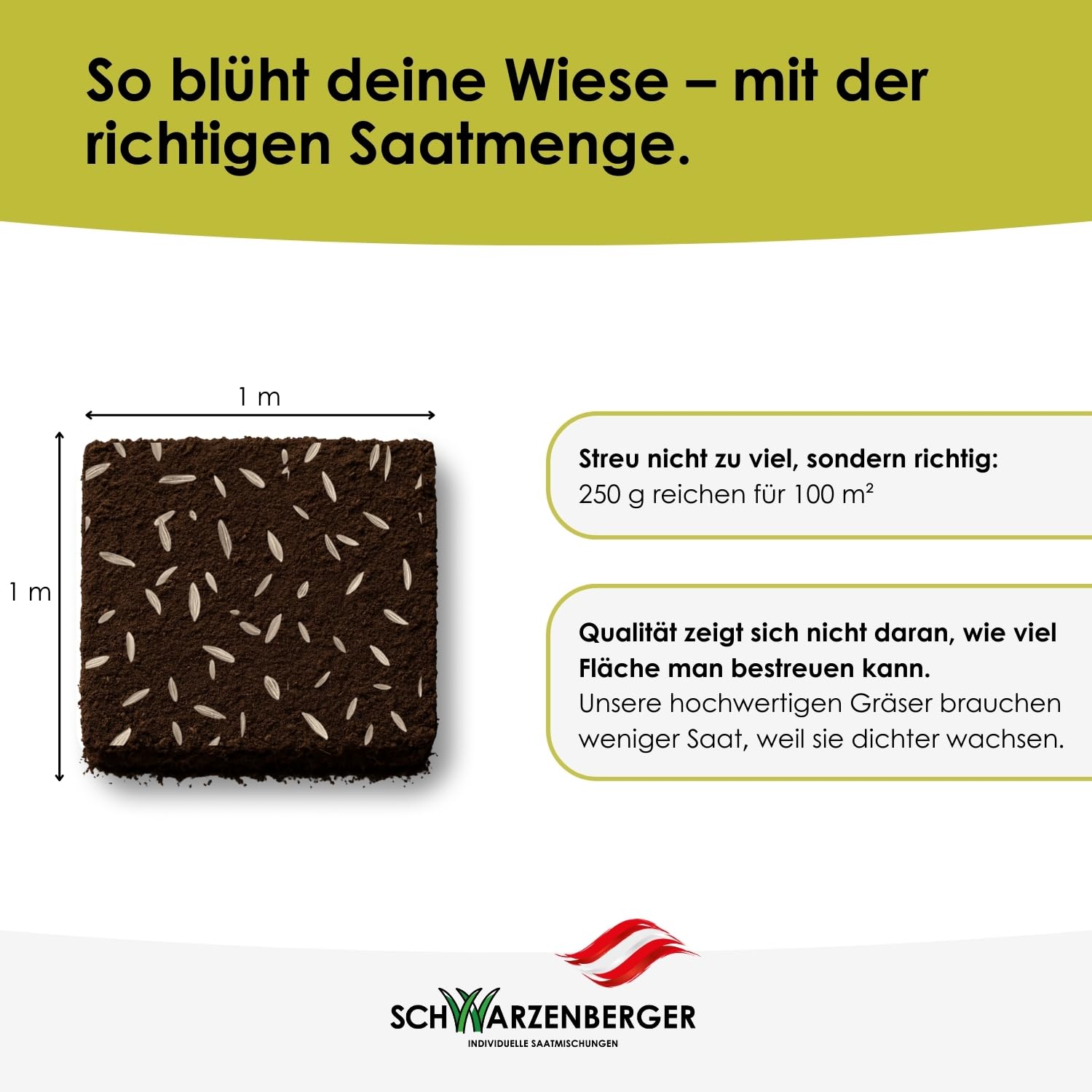 Samen Schwarzenberger I Mehrjährige Blumenwiese I 250 g für 100 m² I Samenmischung mit über 30 Arten I bestäuberfördernd & anpassungsfähig I für Schmetterlinge & Bienen