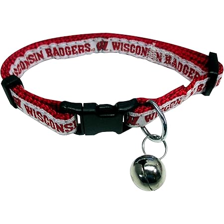 penn state cat collar