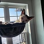 Review Image by Harold C.