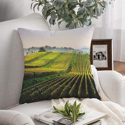 Staromil Funda de almohada decorativa para cocina, Chianti, viñedos de vid, pago, agrícola, cerca de Lilliano, Toscana, Italia, parques, funda de
