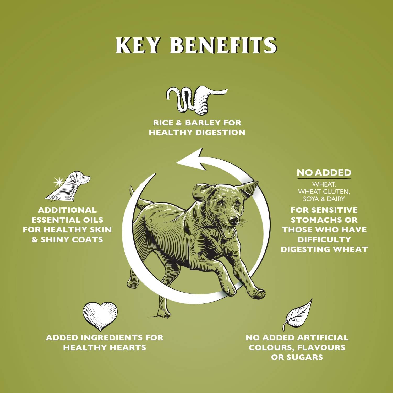 Dr John Pienso para Perros Alimento Seco 12,5 kg Cordero con Arroz Hipoalergénico para Perros Adultos Y Mayores De Todas Las Razas Hypoallergenic