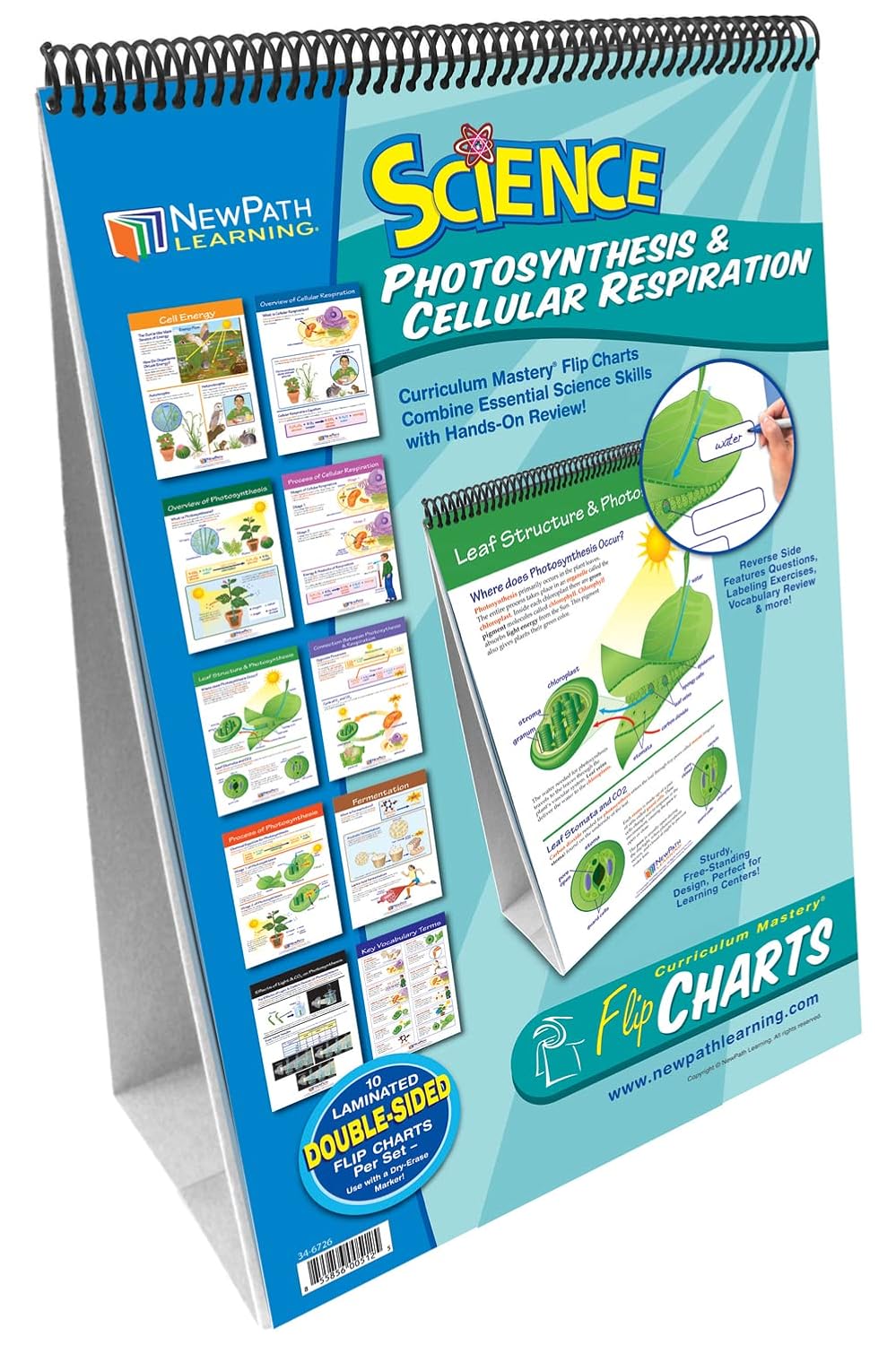 NewPath Learning Photosynthesis & Cellular Respiration Laminated, Double-Sided “Write-On/Wipe-Off” Flip Chart - Set of 10, 12" x 18" Charts (34-6726)