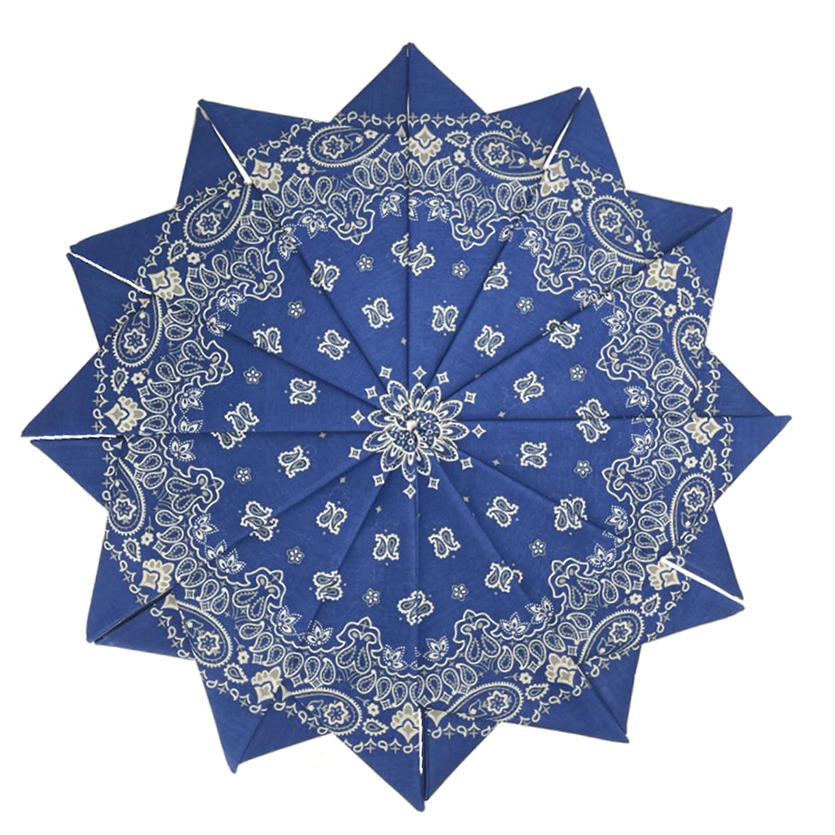 HankieWorld 6 Pack 12 Pack Bandanas 2 Sides Printed 22inch Unisex Cowboy Kerchiefs