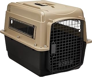 Amazon Co Jp バリケンネル 中型犬
