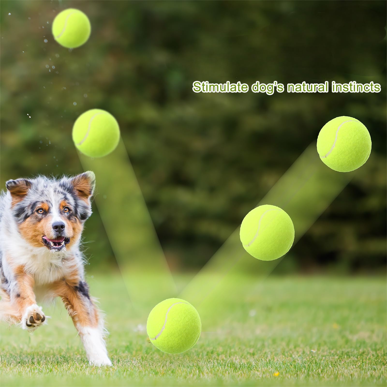 Blueweenly Paquete de 4 pelotas de tenis inflables grandes de 9.5 pulgadas para perros con 4 pelotas de tenis chirriantes de 2.5 pulgadas, pelota interactiva para lanzar y buscar pelota para perros