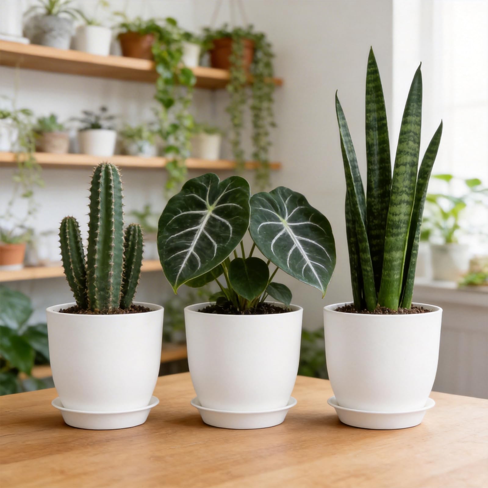 Lot de 10 pots de fleurs en plastique robuste de 16 cm avec trous de drainage et soucoupes pour plantes d'intérieur et plantes grasses Blanc 16 cm