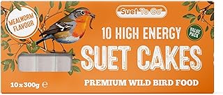 Suet To Go Mealworm Suet Block Wild Bird Treat, 300 g ( Pack of 10) (Packaging may vary)