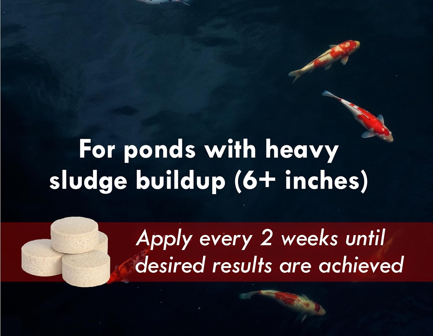 KoiWorx Muck Reducer Tablets for Ponds and Water Features