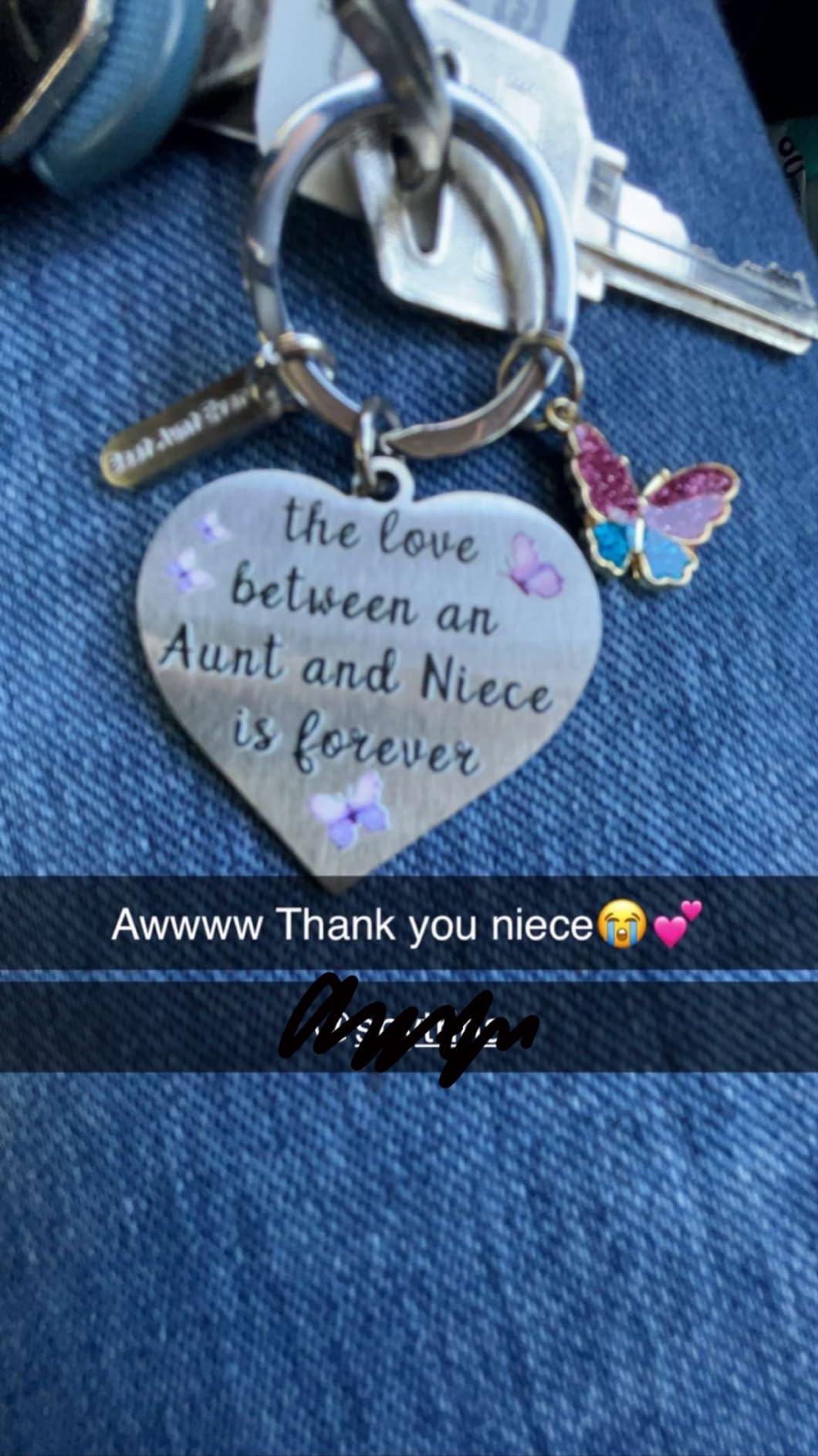 Aunt And Niece Keychain – Stainless Steel Gift For Niece From Aunt (Silver, Heart Theme)