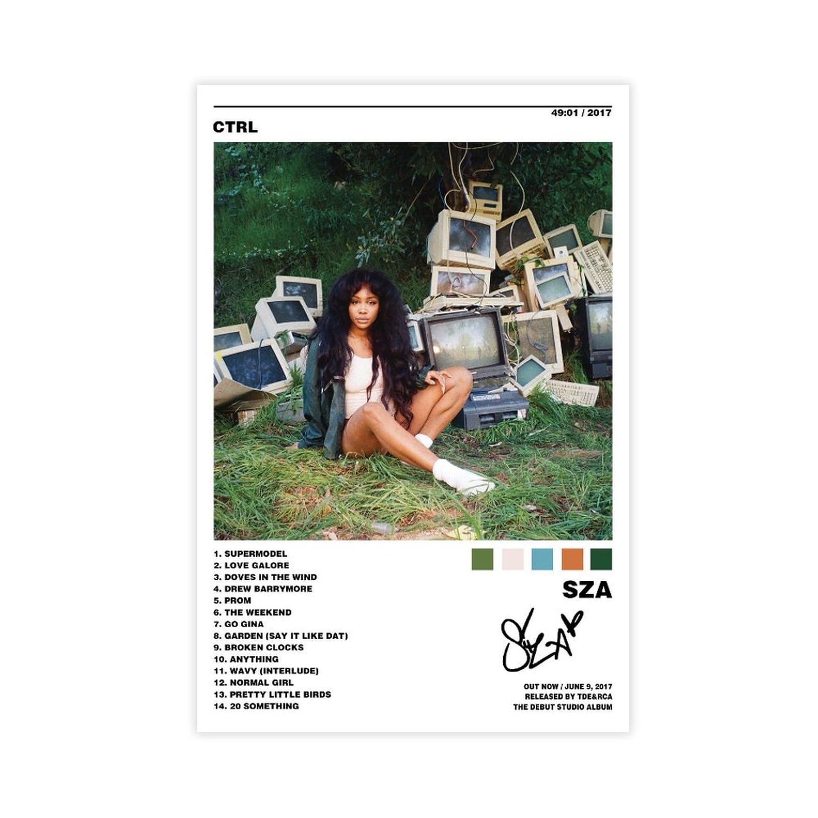 TVNUWOZ SZA Album Poster Ctrl Music Canvas Poster 12x18inch Unframed