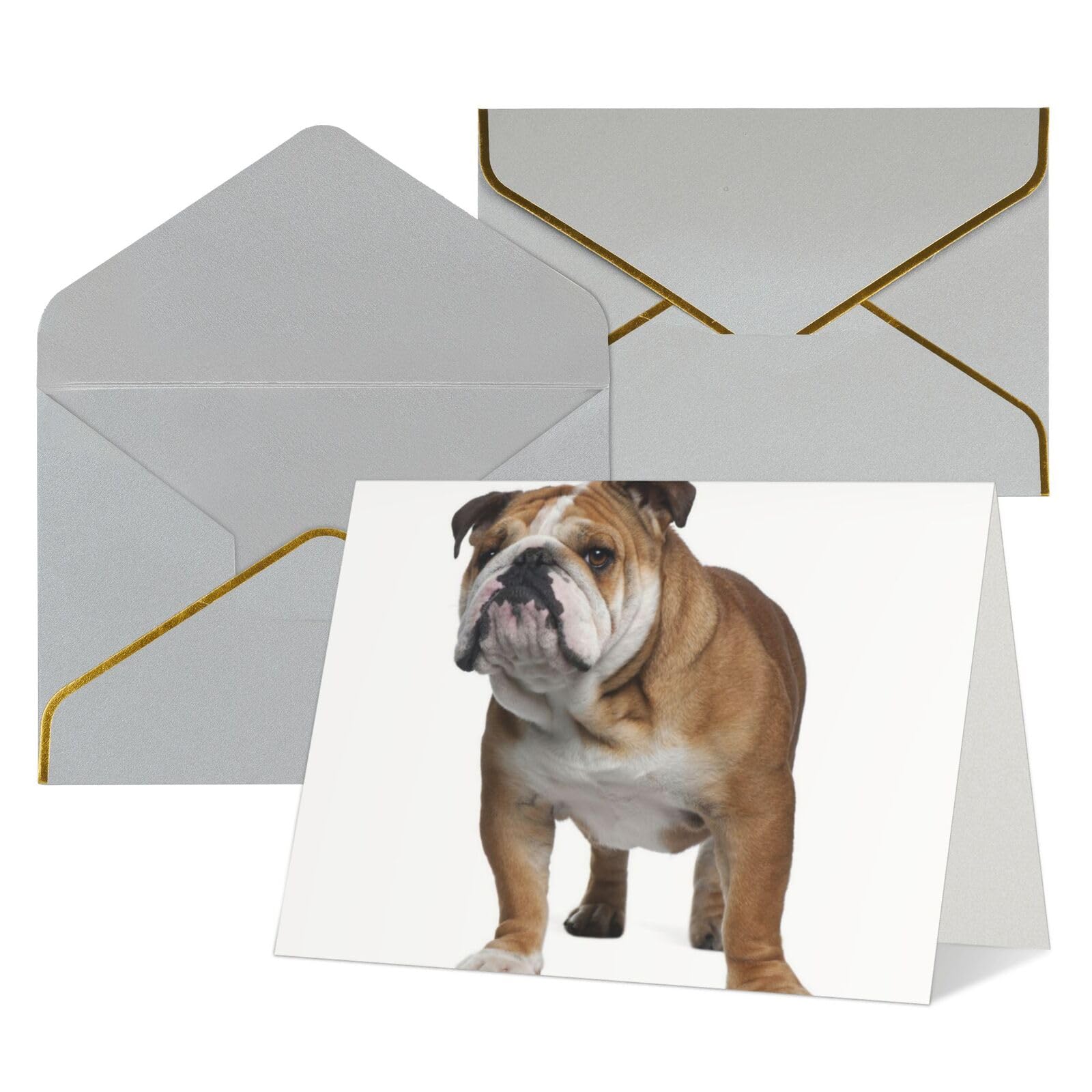 Grußkarte Englische Bulldogge – Hochwertige Klappkarte, Innen Leer – 12,7x17,8 Cm Für Geburtstag, Dankeschön & Mehr