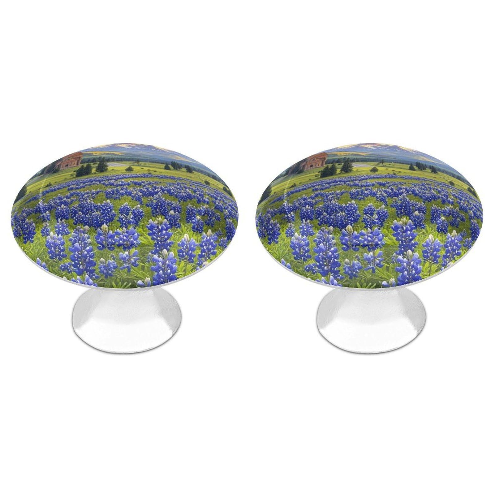 Rldobofe White 2 Pack Cabinet Knobs Round Drawer Pulls Texas Bluebonnets Scenery Dresser Knob Cupboard Door Handles Hardware For Kitchen Bathroom Cabinets