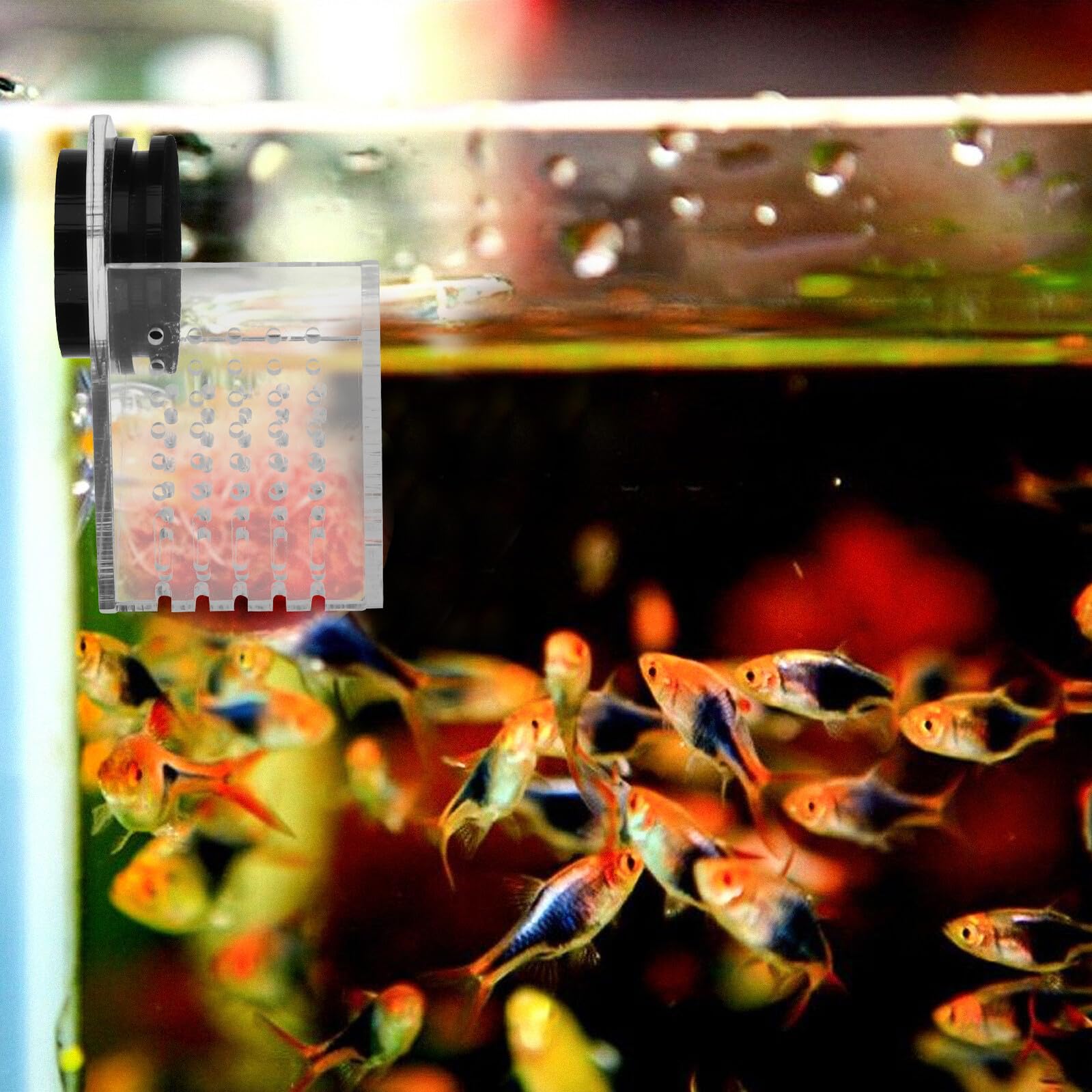 NOLITOY Comedero Acrílico para Peces Soporte Magnético, Dispensador de Comida para Acuarios, Fácil Instalación y Mantiene el Acuario Limpio