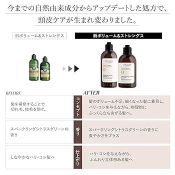Amazon.co.jp: ロクシタン(L'OCCITANE) ボリューム