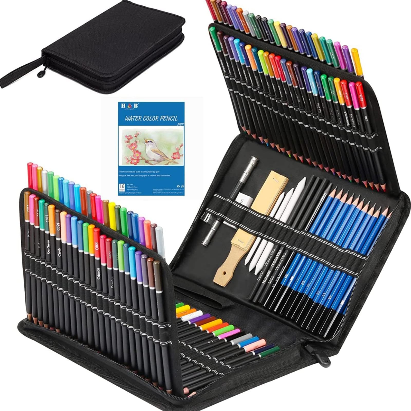 145 Kit professionale in grafite di carbonio per acquerelli e matite da disegno artistico, per professionisti, principianti, artisti, adolescenti, adulti, forniture complete con nucleo ad olio